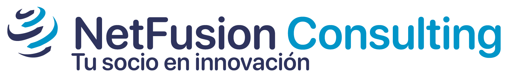 Net Fusion Consulting