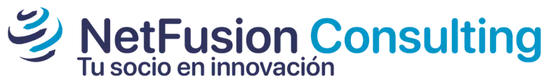 Net Fusion Consulting
